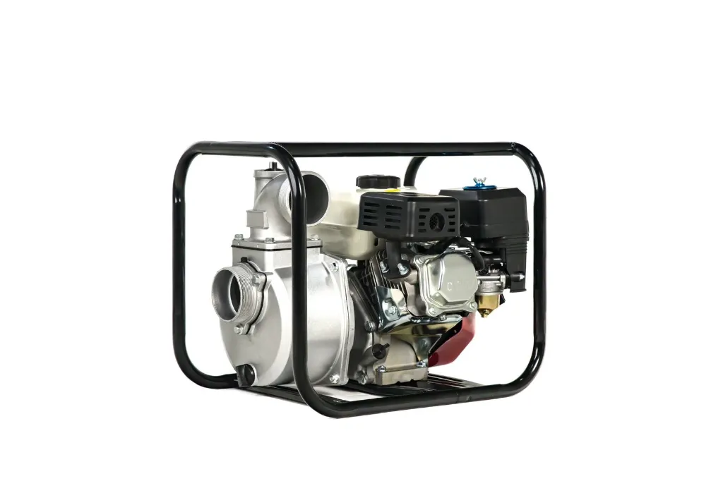 WhatsApp Image 2024-01-11 at 12.14.28 PM (2).webp