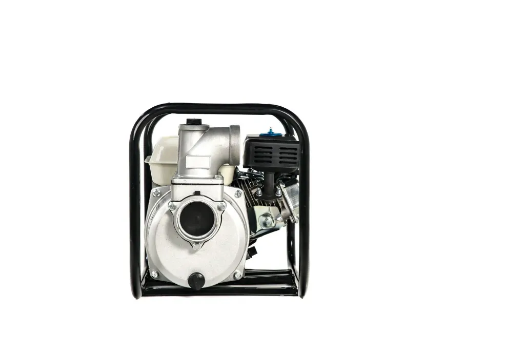 WhatsApp Image 2024-01-11 at 12.14.28 PM (1).webp