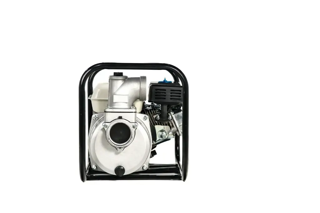 WhatsApp Image 2024-01-11 at 12.14.28 PM (1).webp